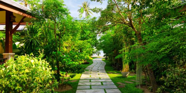 Peaceful Ayur Yoga Wellness garden path surrounded by lush greenery, promoted through Orestes’ digital marketing services in India to highlight serene wellness spaces.